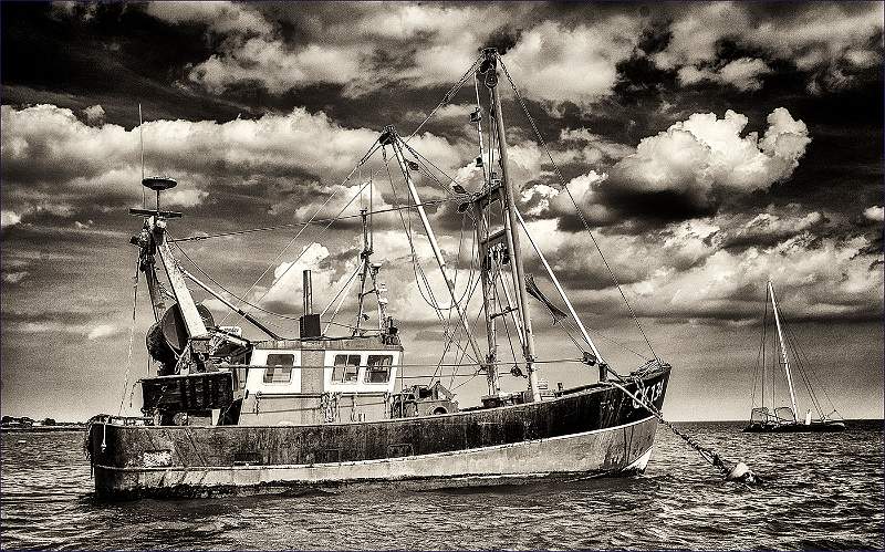 DSC_4708-2 Mersea Trawler Anchored.jpg